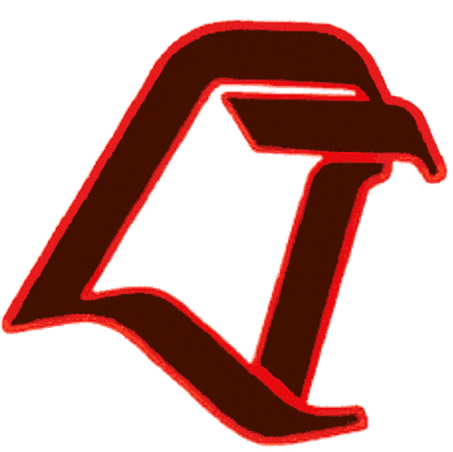 Bowling Green Falcons 1990-2005 Alternate Logo v2 iron on transfers for fabric